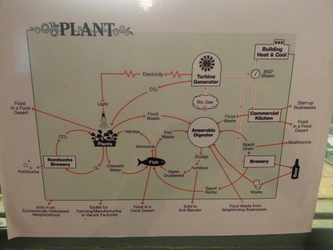 The Plant - a diagram